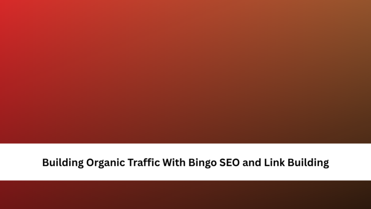 Building Organic Traffic With Bingo SEO and Link Building